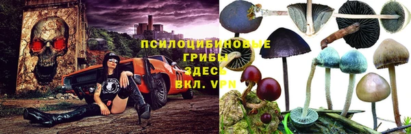 герыч Алзамай